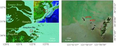 The relationships between vertical variations of shallow gas and pore water geochemical characteristics in boreholes from the inner shelf of the East China Sea